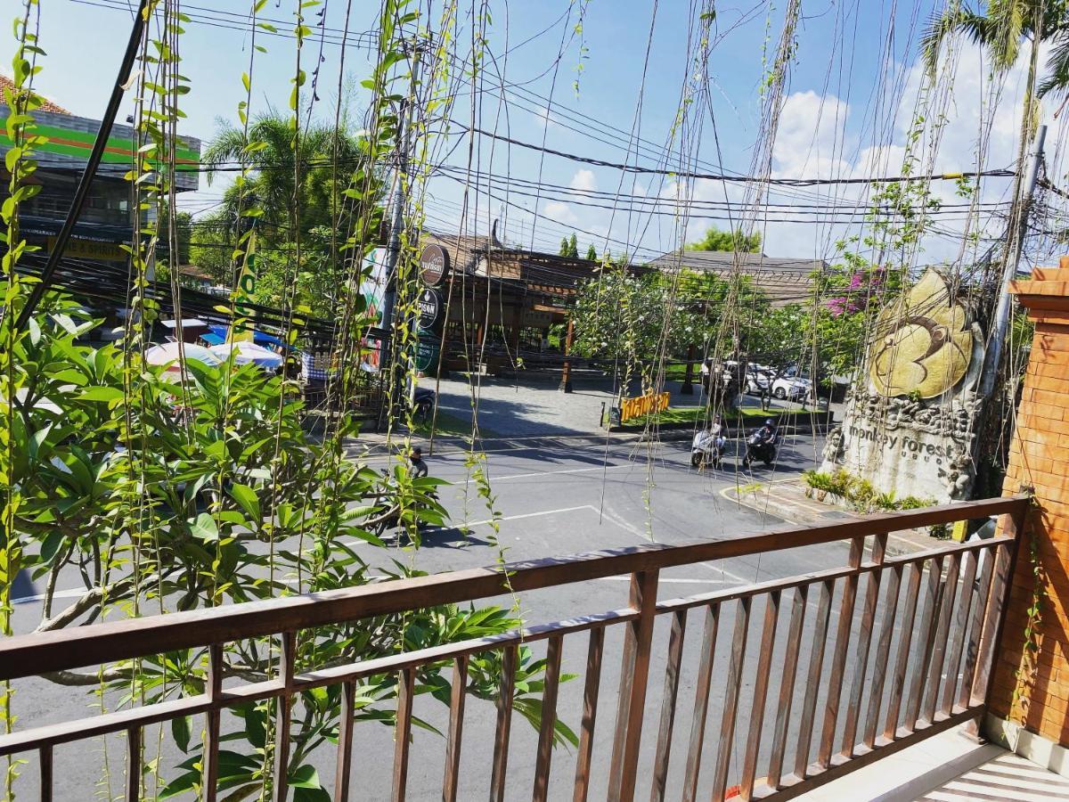 Grey House Monkey Forest 乌布 外观 照片