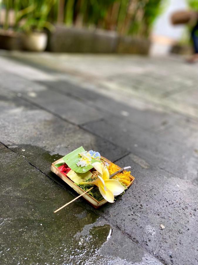 Grey House Monkey Forest 乌布 外观 照片